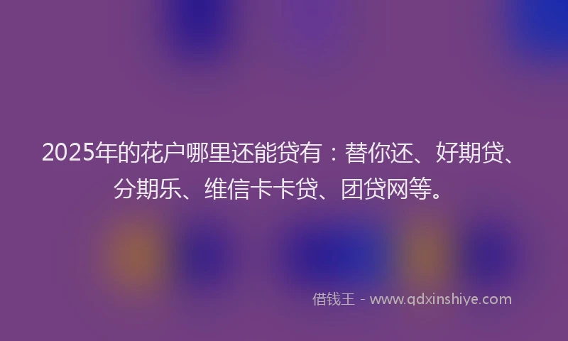 2025年的花户哪里还能贷有：替你还、好期贷、分期乐、维信卡卡贷、团贷网等。