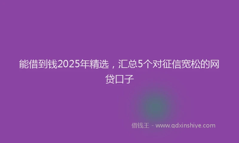 能借到钱2025年精选，汇总5个对征信宽松的网贷口子