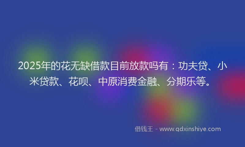 2025年的花无缺借款目前放款吗有：功夫贷、小米贷款、花呗、中原消费金融、分期乐等。