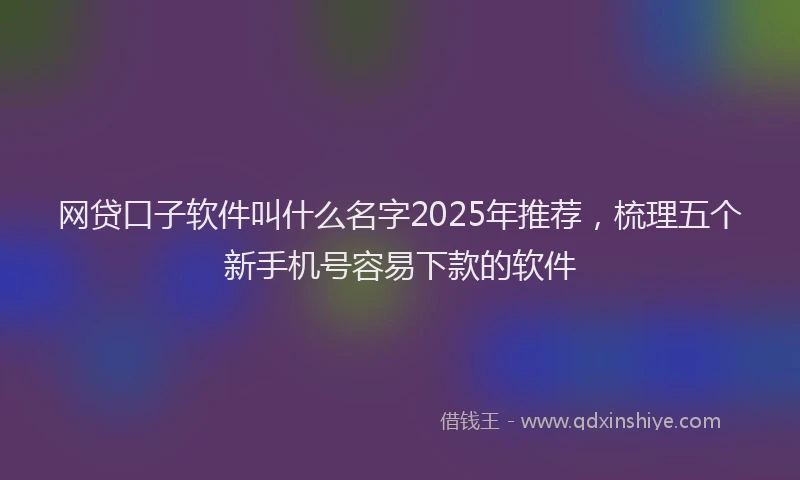 网贷口子软件叫什么名字2025年推荐，梳理五个新手机号容易下款的软件