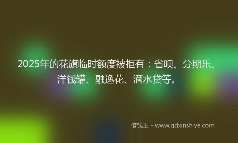 2025年的花旗临时额度被拒有：省呗、分期乐、洋钱罐、融逸花、滴水贷等。