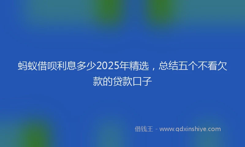 蚂蚁借呗利息多少2025年精选，总结五个不看欠款的贷款口子