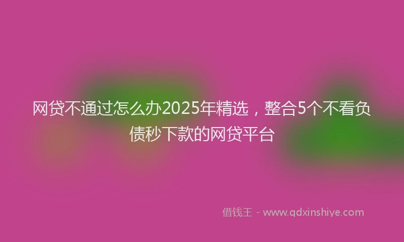 网贷不通过怎么办2025年精选，整合5个不看负债秒下款的网贷平台