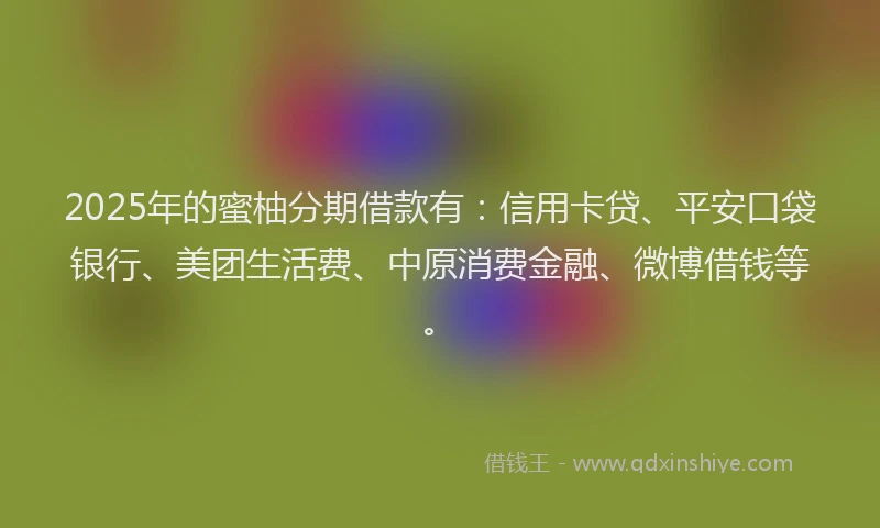 2025年的蜜柚分期借款有：信用卡贷、平安口袋银行、美团生活费、中原消费金融、微博借钱等。