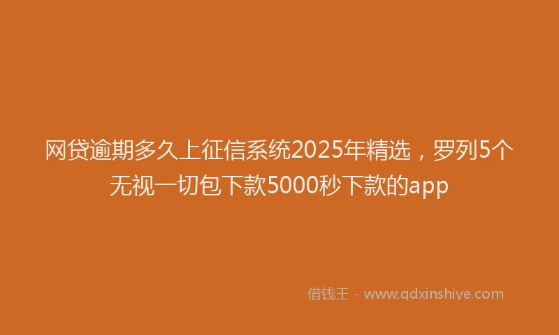 网贷逾期多久上征信系统2025年精选，罗列5个无视一切包下款5000秒下款的app