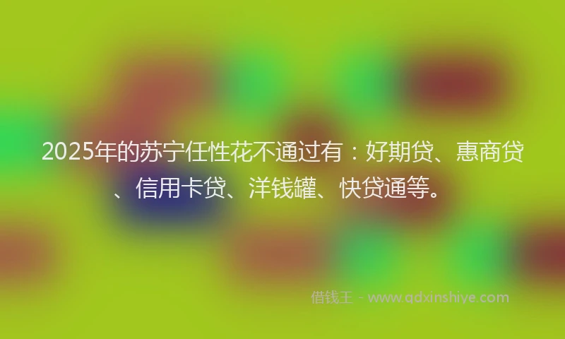 2025年的苏宁任性花不通过有：好期贷、惠商贷、信用卡贷、洋钱罐、快贷通等。