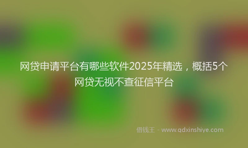 网贷申请平台有哪些软件2025年精选，概括5个网贷无视不查征信平台