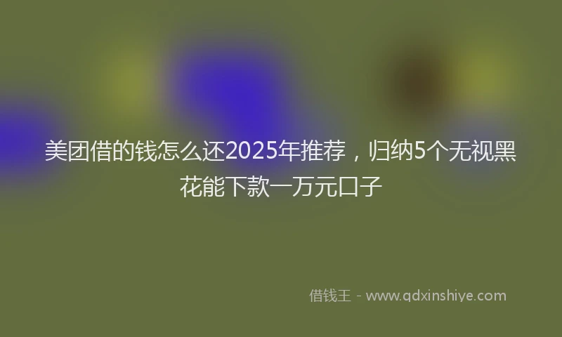美团借的钱怎么还2025年推荐，归纳5个无视黑花能下款一万元口子