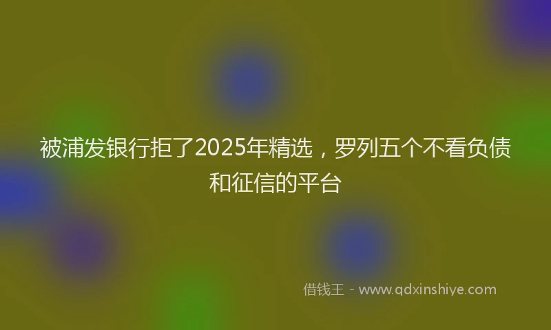 被浦发银行拒了2025年精选，罗列五个不看负债和征信的平台