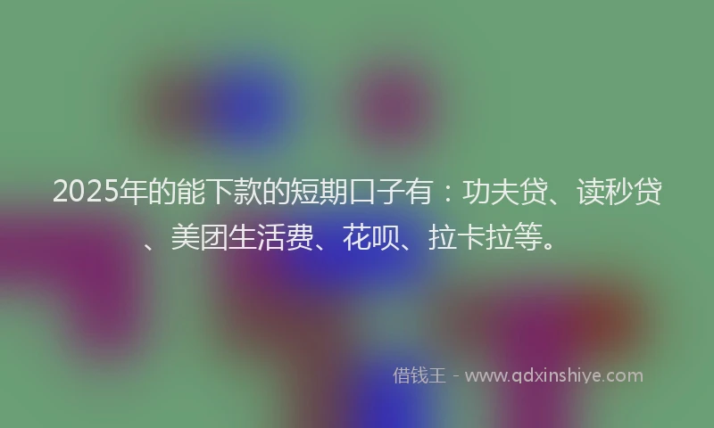 2025年的能下款的短期口子有：功夫贷、读秒贷、美团生活费、花呗、拉卡拉等。