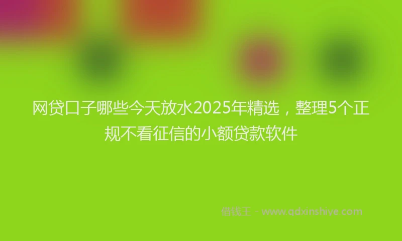 网贷口子哪些今天放水2025年精选，整理5个正规不看征信的小额贷款软件