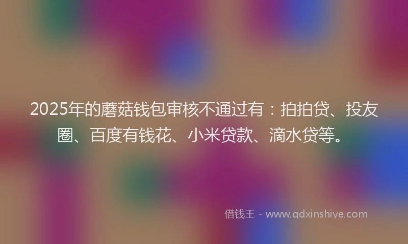 2025年的蘑菇钱包审核不通过有：拍拍贷、投友圈、百度有钱花、小米贷款、滴水贷等。