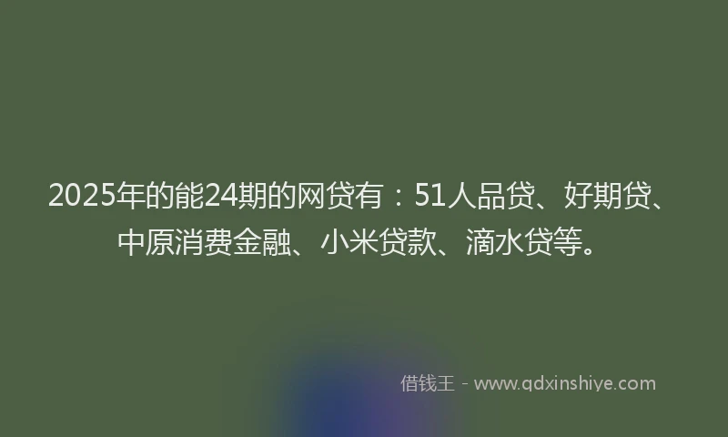 2025年的能24期的网贷有：51人品贷、好期贷、中原消费金融、小米贷款、滴水贷等。