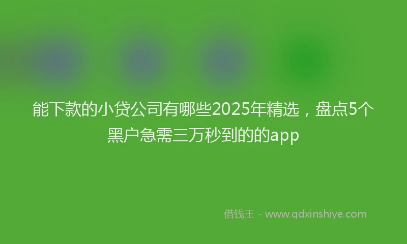 能下款的小贷公司有哪些2025年精选，盘点5个黑户急需三万秒到的的app