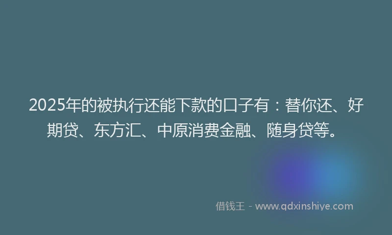 2025年的被执行还能下款的口子有：替你还、好期贷、东方汇、中原消费金融、随身贷等。