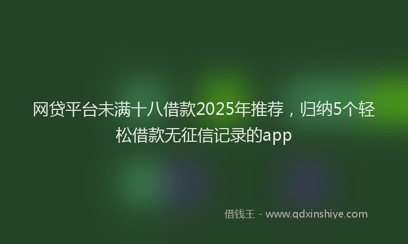 网贷平台未满十八借款2025年推荐，归纳5个轻松借款无征信记录的app