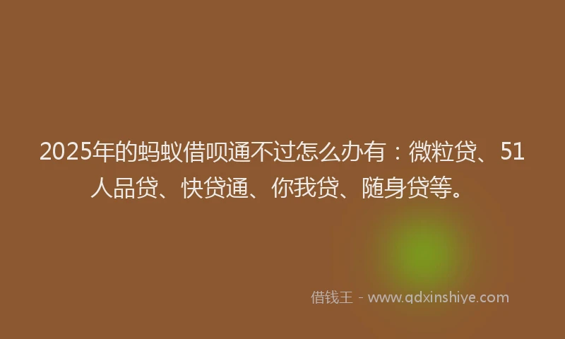 2025年的蚂蚁借呗通不过怎么办有：微粒贷、51人品贷、快贷通、你我贷、随身贷等。