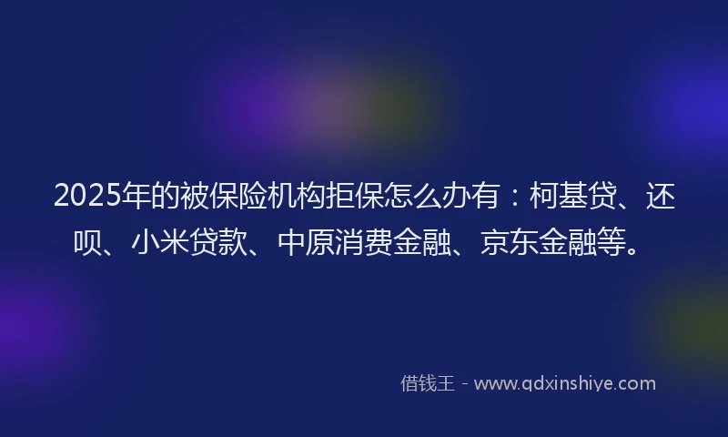 2025年的被保险机构拒保怎么办有：柯基贷、还呗、小米贷款、中原消费金融、京东金融等。