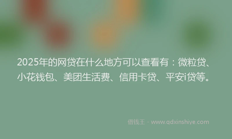 2025年的网贷在什么地方可以查看有：微粒贷、小花钱包、美团生活费、信用卡贷、平安i贷等。