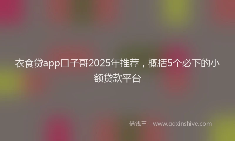 衣食贷app口子哥2025年推荐，概括5个必下的小额贷款平台