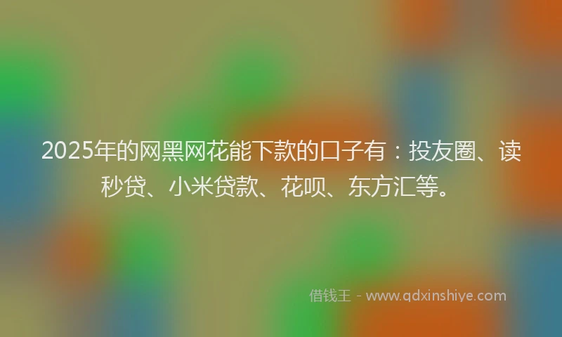 2025年的网黑网花能下款的口子有：投友圈、读秒贷、小米贷款、花呗、东方汇等。