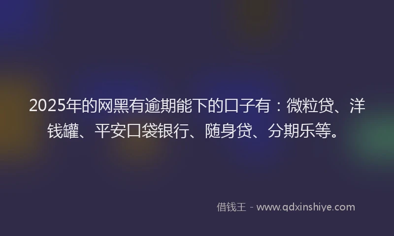 2025年的网黑有逾期能下的口子有：微粒贷、洋钱罐、平安口袋银行、随身贷、分期乐等。