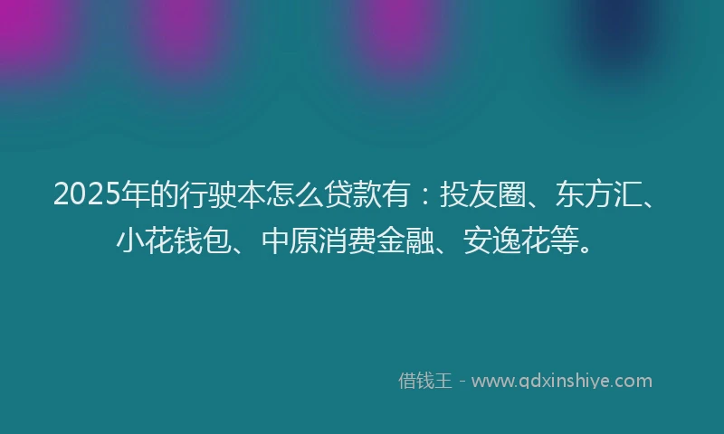 2025年的行驶本怎么贷款有：投友圈、东方汇、小花钱包、中原消费金融、安逸花等。