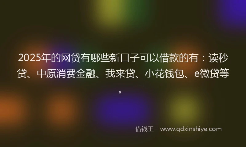 2025年的网贷有哪些新口子可以借款的有：读秒贷、中原消费金融、我来贷、小花钱包、e微贷等。