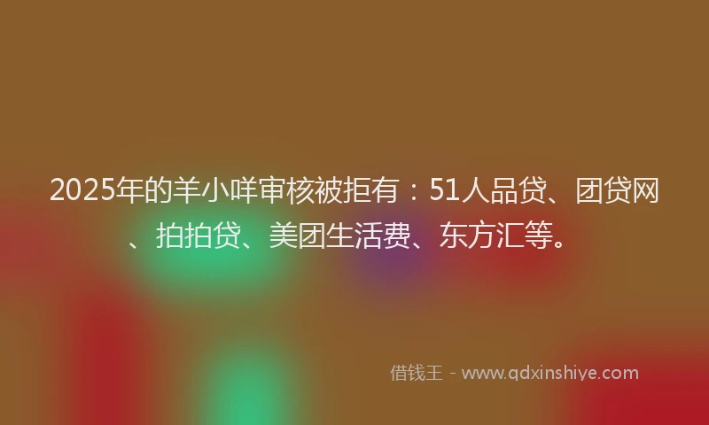 2025年的羊小咩审核被拒有：51人品贷、团贷网、拍拍贷、美团生活费、东方汇等。