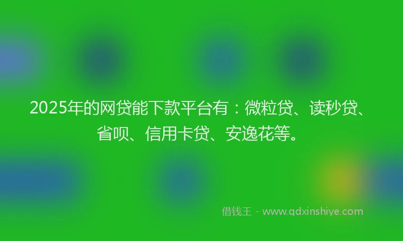 2025年的网贷能下款平台有：微粒贷、读秒贷、省呗、信用卡贷、安逸花等。