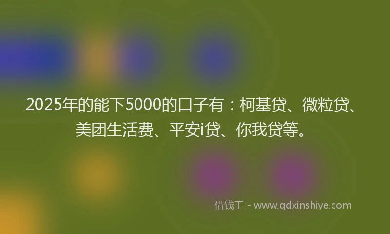 2025年的能下5000的口子有：柯基贷、微粒贷、美团生活费、平安i贷、你我贷等。