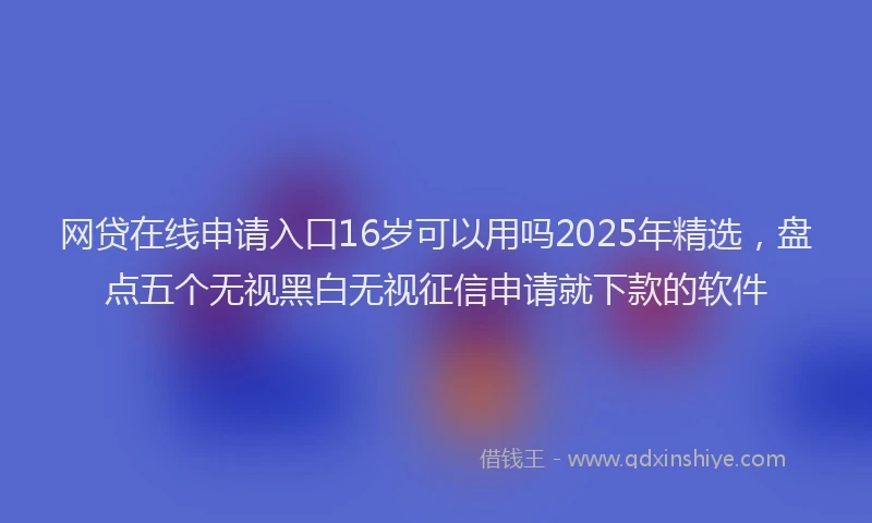 网贷在线申请入口16岁可以用吗2025年精选，盘点五个无视黑白无视征信申请就下款的软件