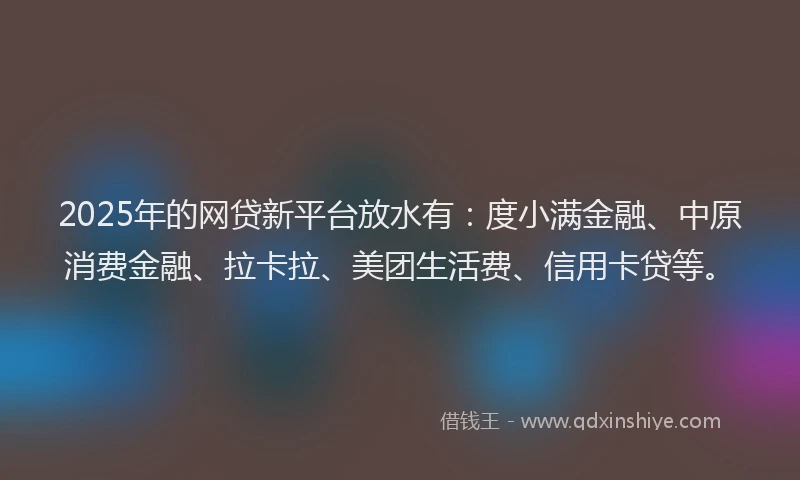 2025年的网贷新平台放水有：度小满金融、中原消费金融、拉卡拉、美团生活费、信用卡贷等。
