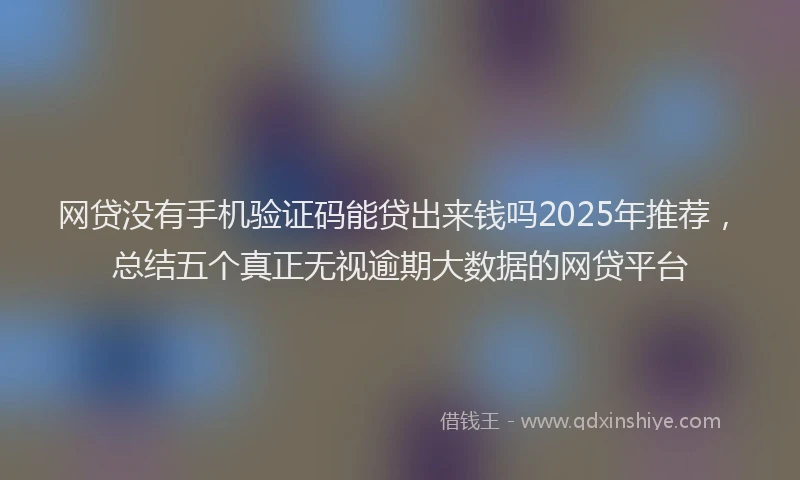 网贷没有手机验证码能贷出来钱吗2025年推荐，总结五个真正无视逾期大数据的网贷平台