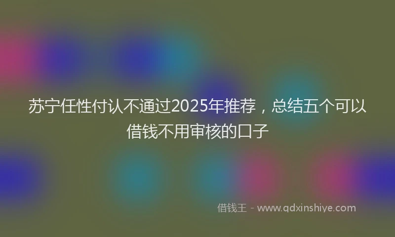 苏宁任性付认不通过2025年推荐，总结五个可以借钱不用审核的口子