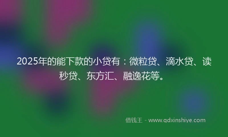 2025年的能下款的小贷有：微粒贷、滴水贷、读秒贷、东方汇、融逸花等。