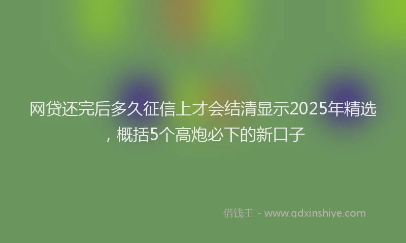 网贷还完后多久征信上才会结清显示2025年精选，概括5个高炮必下的新口子
