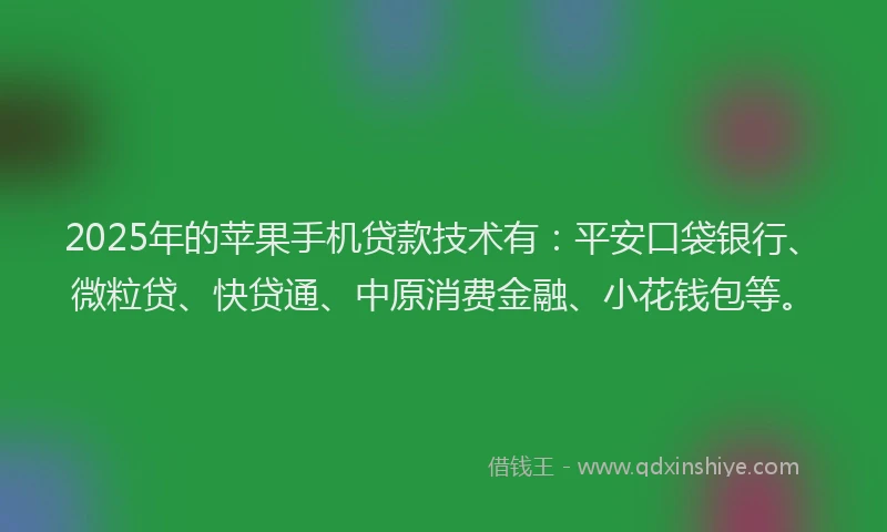 2025年的苹果手机贷款技术有：平安口袋银行、微粒贷、快贷通、中原消费金融、小花钱包等。
