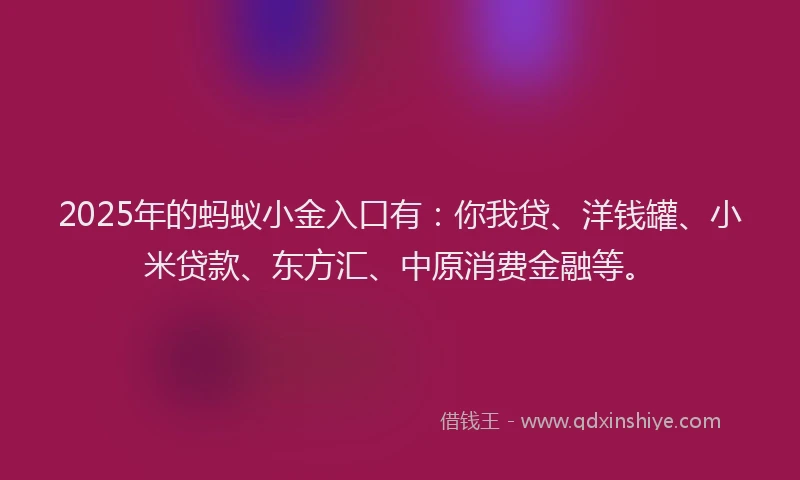 2025年的蚂蚁小金入口有：你我贷、洋钱罐、小米贷款、东方汇、中原消费金融等。