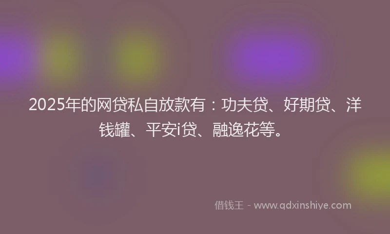 2025年的网贷私自放款有：功夫贷、好期贷、洋钱罐、平安i贷、融逸花等。