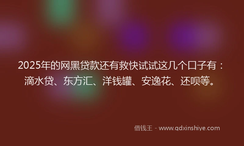 2025年的网黑贷款还有救快试试这几个口子有：滴水贷、东方汇、洋钱罐、安逸花、还呗等。