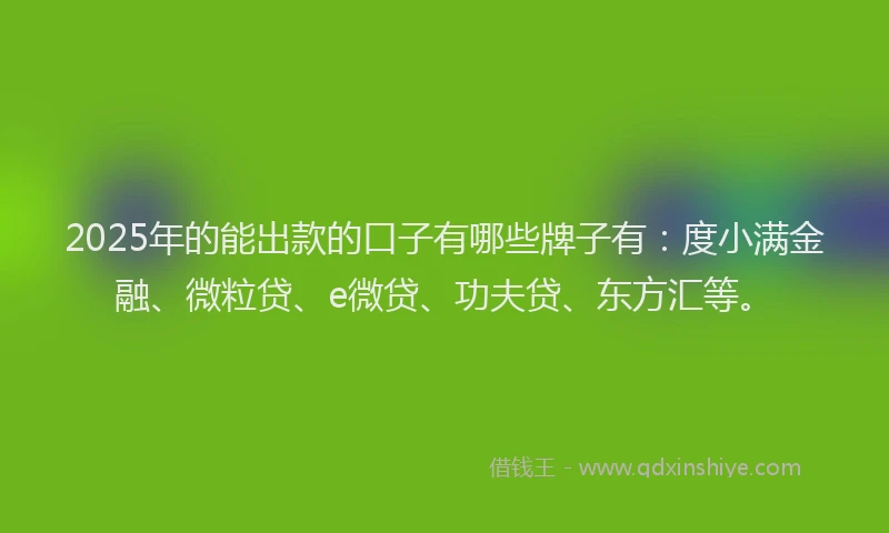 2025年的能出款的口子有哪些牌子有：度小满金融、微粒贷、e微贷、功夫贷、东方汇等。