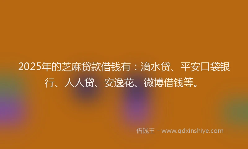 2025年的芝麻贷款借钱有：滴水贷、平安口袋银行、人人贷、安逸花、微博借钱等。