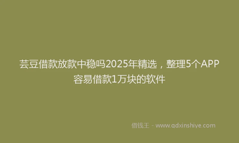 芸豆借款放款中稳吗2025年精选，整理5个APP容易借款1万块的软件