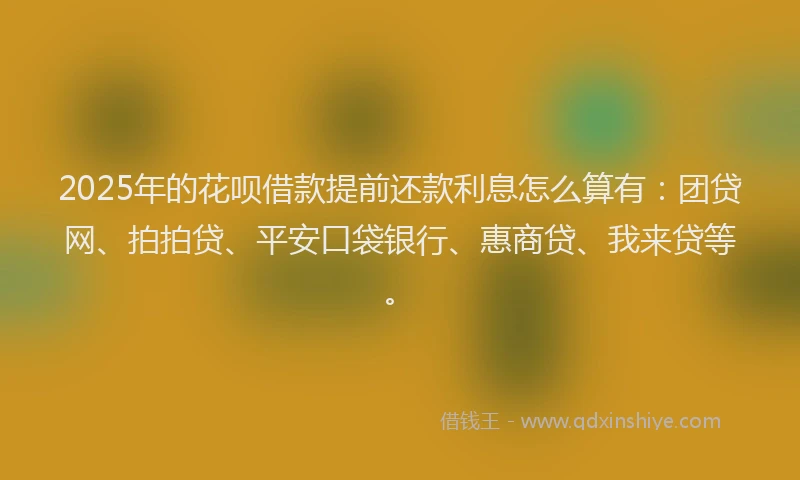 2025年的花呗借款提前还款利息怎么算有：团贷网、拍拍贷、平安口袋银行、惠商贷、我来贷等。
