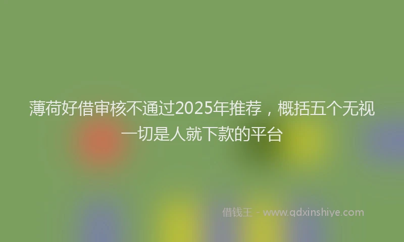 薄荷好借审核不通过2025年推荐，概括五个无视一切是人就下款的平台
