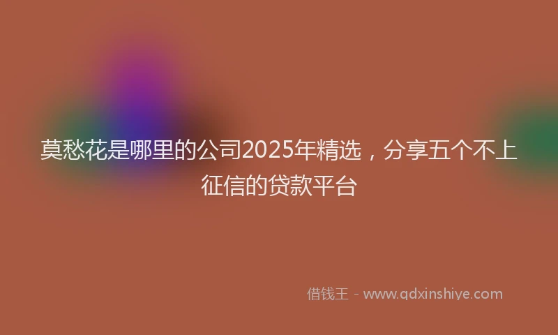 莫愁花是哪里的公司2025年精选，分享五个不上征信的贷款平台