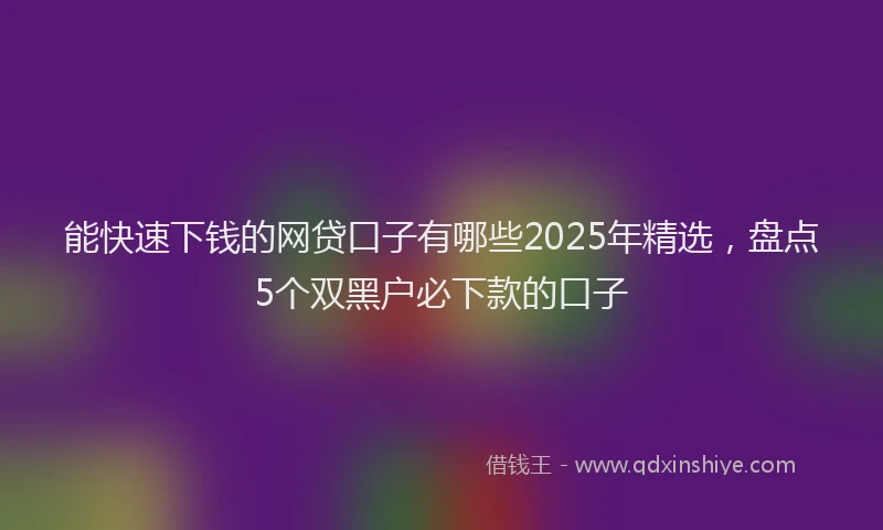能快速下钱的网贷口子有哪些2025年精选，盘点5个双黑户必下款的口子