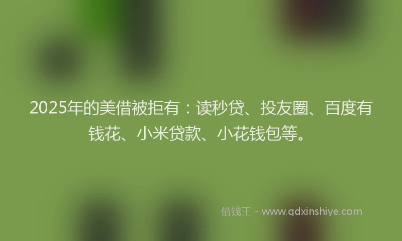 2025年的美借被拒有：读秒贷、投友圈、百度有钱花、小米贷款、小花钱包等。