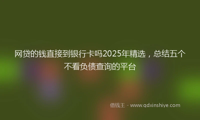 网贷的钱直接到银行卡吗2025年精选，总结五个不看负债查询的平台